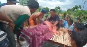 Hujan Deras, Petani di Desa Sai Bima Tewas Tersambar Petir