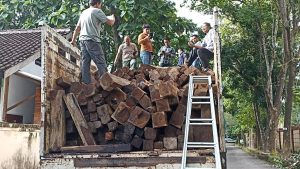 Truk Bermuatan 28 Kubik Kayu Sonokeling Asal Dompu Diamankan