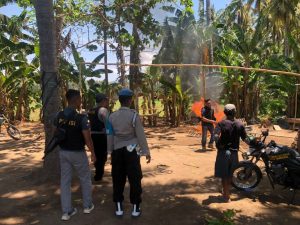 Polisi Gerebek Sabung Ayam di Lambu Bima, Penjudi Lari Tinggalkan Barang Bukti