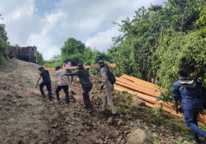 Tim Gabungan Amankan 66 Batang Kayu Hasil Ilegal Logging di Sumbawa