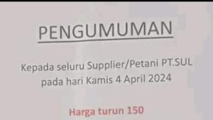 Harga Jagung Makin Merosot, Petani di Bima Terancam Merugi