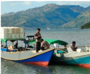 Polisi Tangkap 6 Pelaku Bom Ikan di Perairan Sape Bima, Sita 25 Detonator