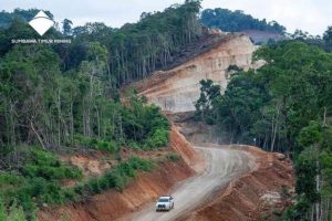 60 Persen Hutan NTB Rusak Akibat Tambang dan Alih Fungsi Lahan