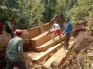 Polisi Usut Dugaan Illegal Logging di Tambora, Kepala BKPH hingga Kades Diperiksa
