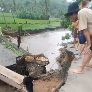 WALHI Sebut Alih Fungsi Hutan Jadi Kebun Jagung Penyebab Banjir di Bima