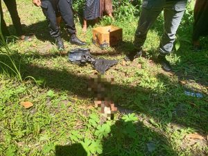 Geger! Mayat Bayi Ditemukan Membusuk di Sungai Srigangga Lombok Tengah