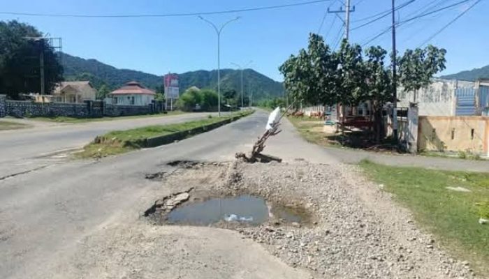 Proyek Jalan Simpang Tano-Seteluk Telan Anggaran Rp32,5 Miliar, Ini Jadwal Tendernya!