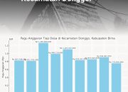 Rincian Alokasi Anggaran Desa di Kecamatan Donggo Tahun 2025