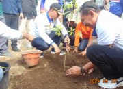 Hijaukan Lingkungan, Wabup Irfan Bagikan 1.000 Bibit Pohon di Bolo