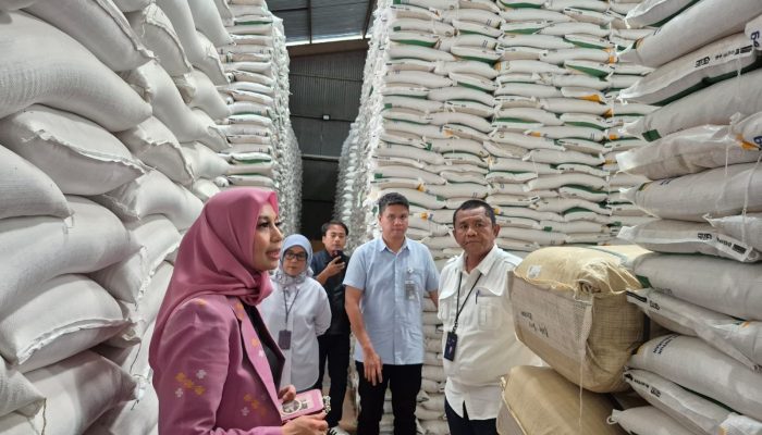 100 Ton Beras Oplosan Jadi Sorotan, Senator Mirah Desak Audit Menyeluruh Mitra BULOG NTB