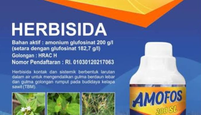 AMOFOS 200 SL, Herbisida Modern Penakluk Gulma Andalan Petani