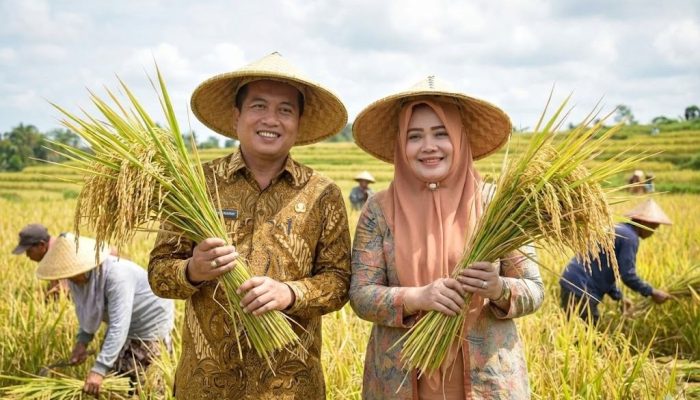 Produksi Padi NTB 2025 Naik 16,85 Persen, Pemprov Optimistis Swasembada Pangan 2026