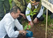 Gubernur NTB Ajak Polhut dan Warga Jaga Hutan Cegah Bencana