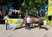 Golkar NTB Tebar Lima Sapi Kurban, Bantuan Bahlil hingga Sari Yuliati