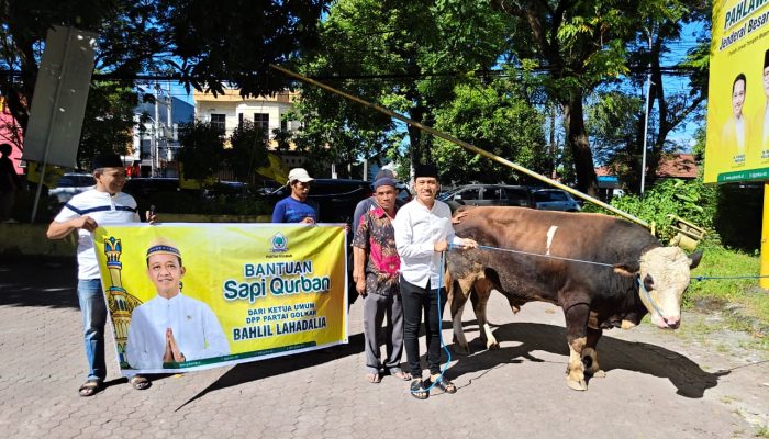 Golkar NTB Tebar Lima Sapi Kurban, Bantuan Bahlil hingga Sari Yuliati