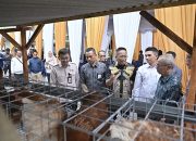 Bank NTB Syariah Salurkan Bantuan Ayam Petelur untuk Warga Desa Lendang Nangka Utara