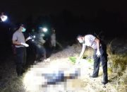 Lansia yang Dilaporkan Hilang Ditemukan Tewas di Persawahan Sumbawa