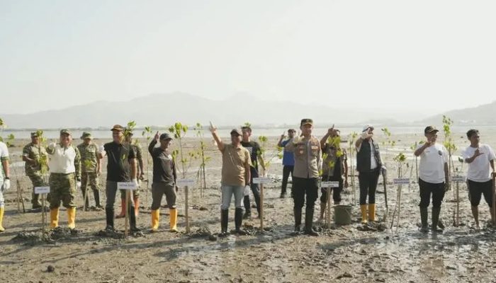 Pemkot Bima Gandeng NUFReP Tanam 600 Mangrove untuk Perkuat Ekosistem Pesisir